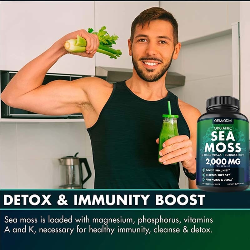 Unflavored het Organische Overzeese Overzees Moss Raw van Moss Capsules Wildcrafted Non GMO 60 Pillen van Gluten Vrije Seamoss