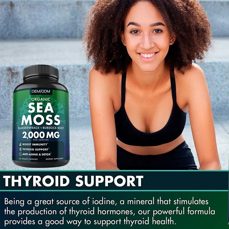 Unflavored het Organische Overzeese Overzees Moss Raw van Moss Capsules Wildcrafted Non GMO 60 Pillen van Gluten Vrije Seamoss