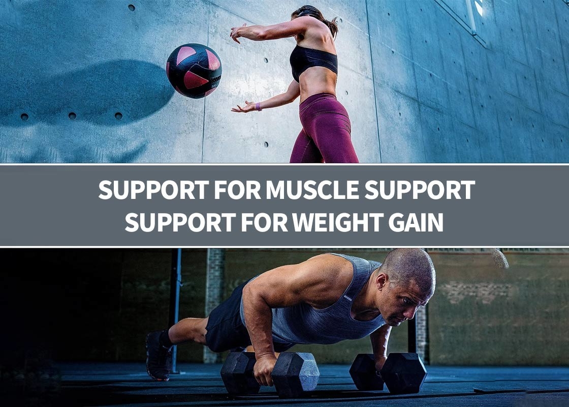 Proteinpoeder voor spierondersteuning Proteinpoeder Immuniteitsbooster Supplement