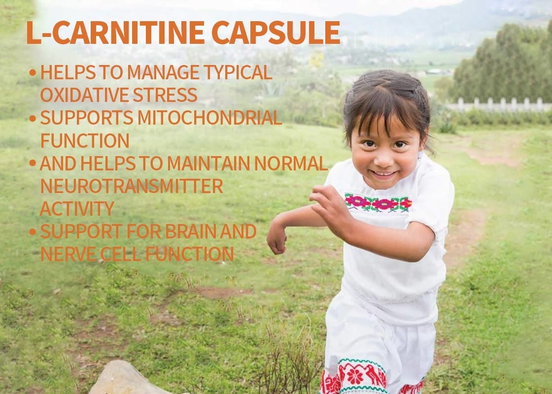 OEM L-carnitine capsules ondersteunen hersen- en zenuwcelfunctie groente capsules ondersteunen geheugen en focus
