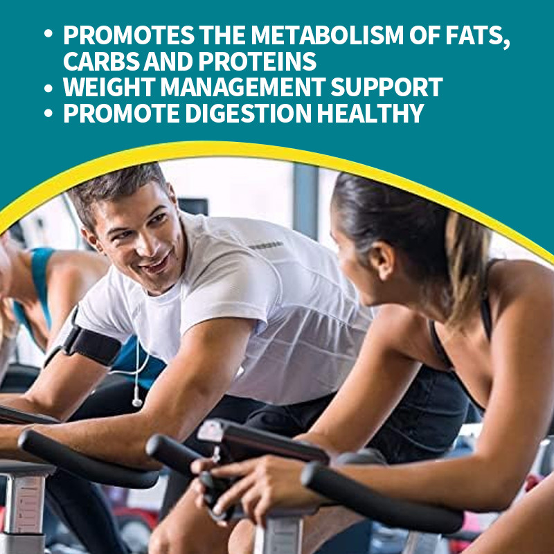 Probiotische capsules voor een gezond metabolisme Gewichtsbeheersing Darmgezondheid Supplement Gewichtsverlies capsules
