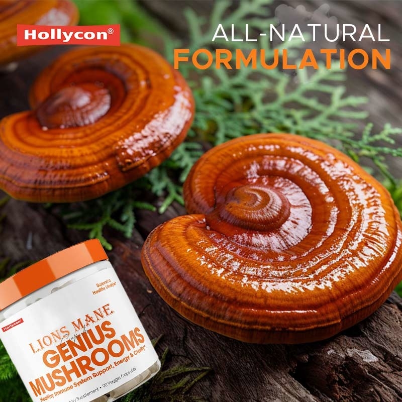 Vervaardiger Champignon Supplement Leeuwenmane Capsules Helpen Lever Nier Geheugen Ondersteunen Immuun