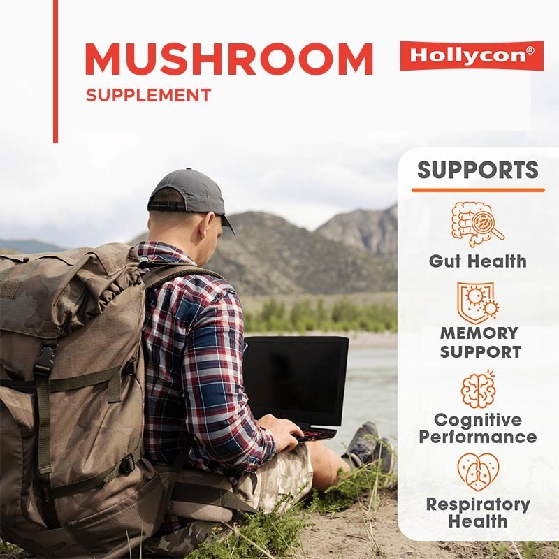 Vervaardiger Champignon Supplement Leeuwenmane Capsules Helpen Lever Nier Geheugen Ondersteunen Immuun