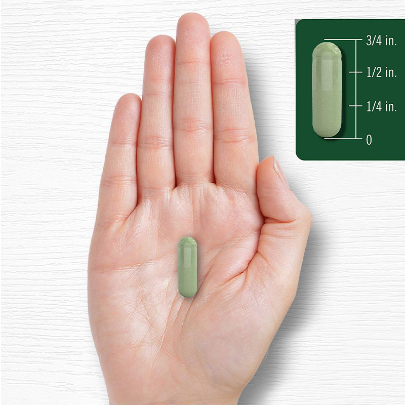 Moringa poeder capsules voor gewrichtsondersteuning Moringa poeder supplement voor een goede slaap