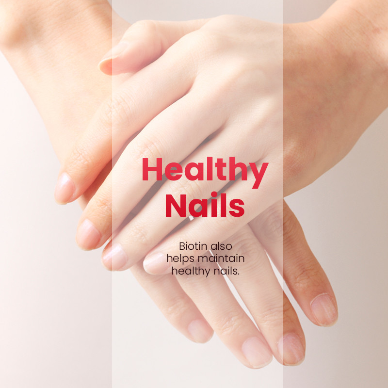 Hood, huid en nagels Kauwgummies voor haargroei 2500mcg Biotine Kauwgummies voor vrouwen