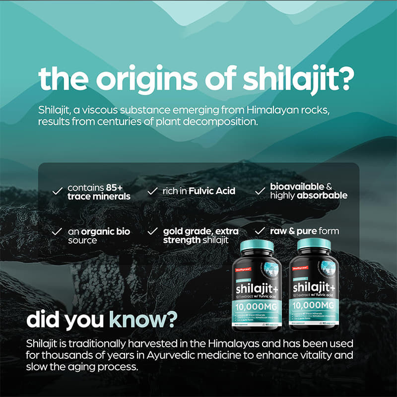 OEM Pure Himalayan Shilajit 10000mg Organische Shilajit capsules voor immuunondersteuning