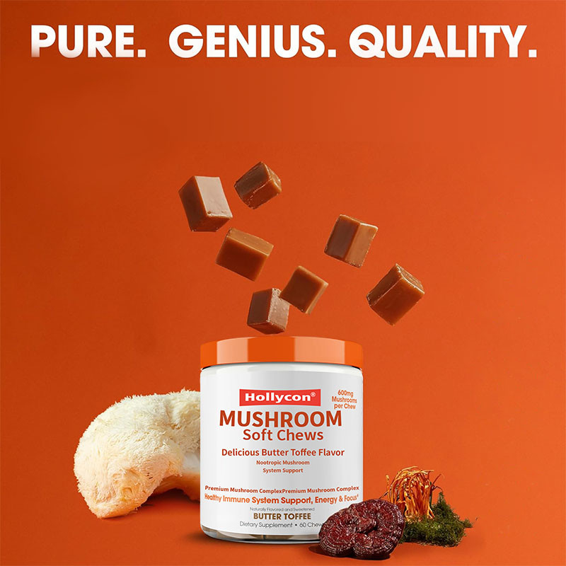 Fabriek Plant Cordyceps Nootropische paddenstoelen Ondersteuning Energie Focus Hersengezondheid Immuniteit Ganoderma Lucidum Paddenstoel Zachte kauwen
