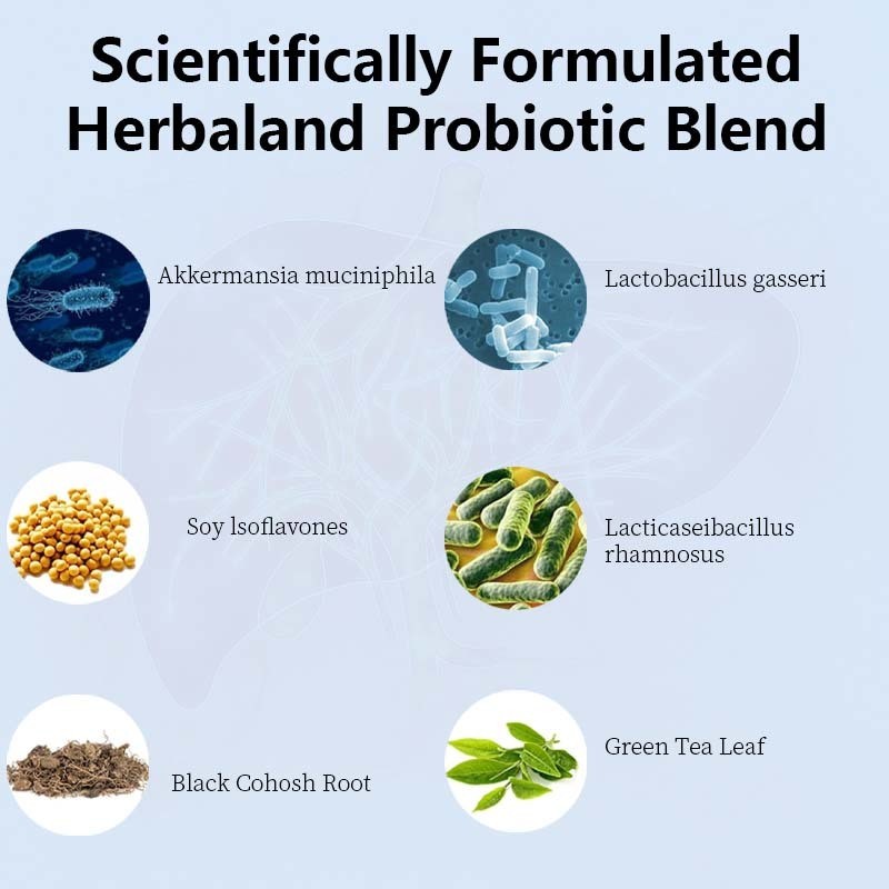 OEM / ODM in de fabriek gemaakte probiotische supplementen voor de menopauze voor vrouwen - 60 miljard CFU Akkermansia probiotica voor hormoonbalans, nachtelijk zweten, verlichting van opvliegers, darmgezondheid, aangepaste formule