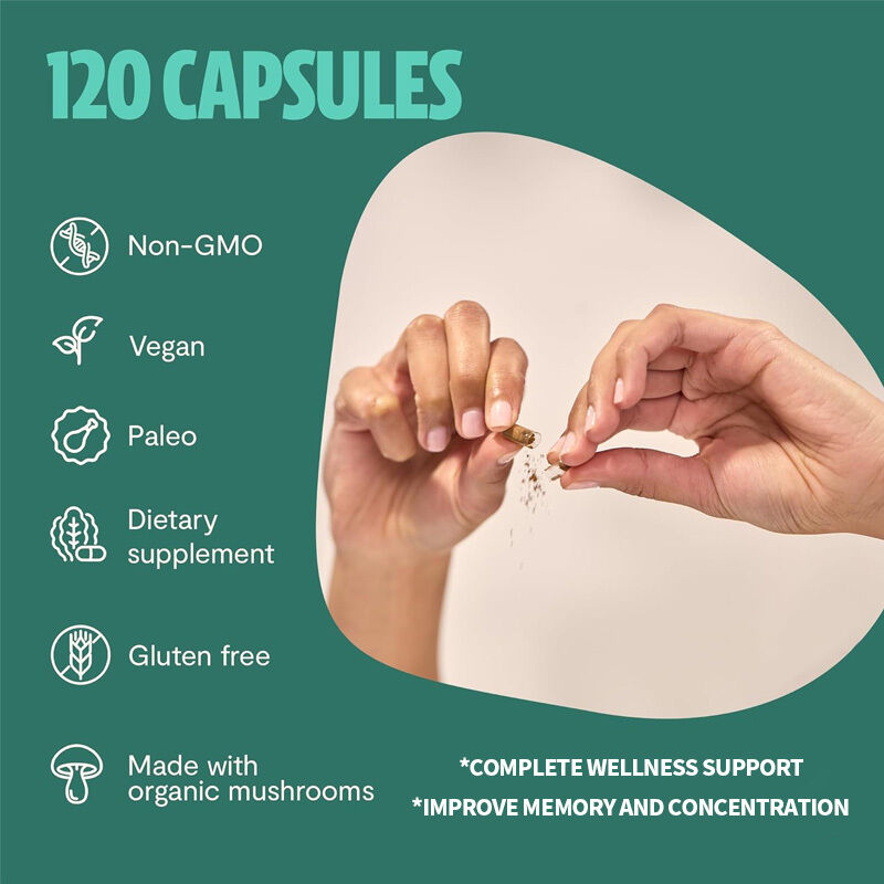 OEM Champignon Supplement Biologische champignons Supplement Nootropische hersensupplementen Geheugen Focus Ayurveda Champignon Complex Capsules