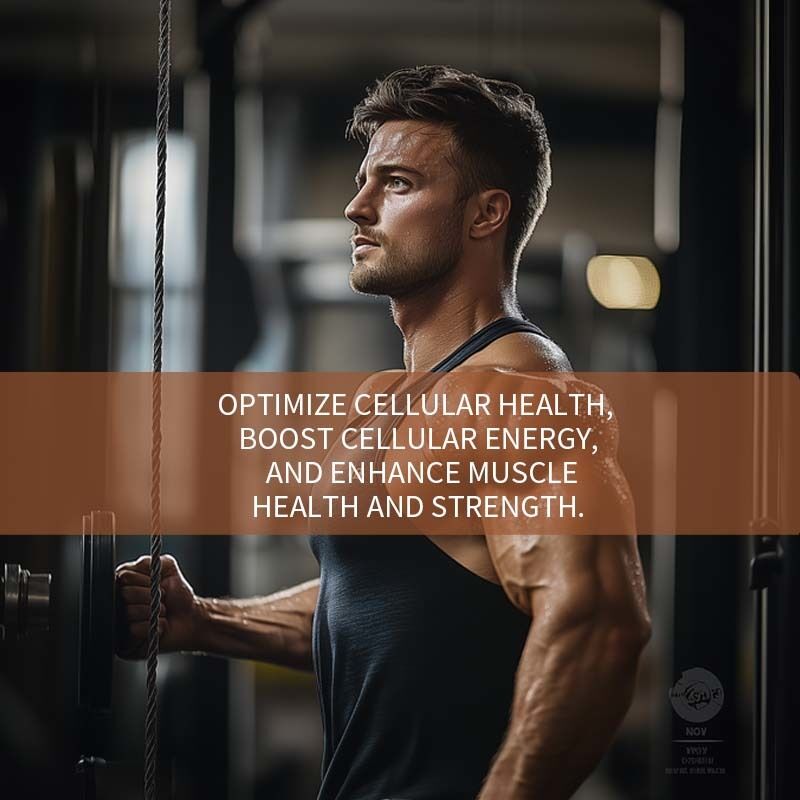 Hoge zuiverheid Urolithin A zachte capsules Planten afgeleide cellulaire voedingssupplement met Custom Private Label