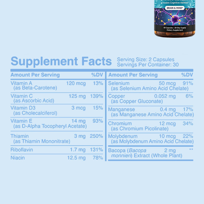 Bacopa Monnieri capsules met natuurlijk plantenextract voor geheugen- en focusondersteuning