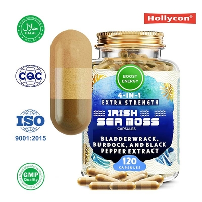 Leverancier Ierse zee-mos capsules Verbeteren van de energie Verbeteren van de gewrichtsboten Zee-mos poeder