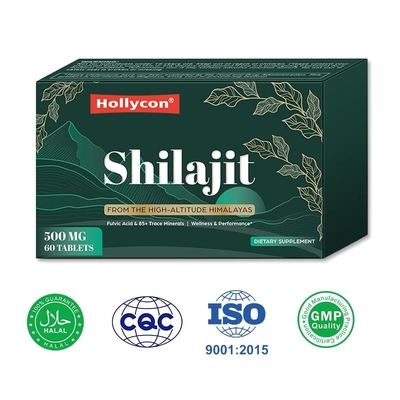 Fabriek Himalaya Shilajit Tabletten Energiebeheer Immuunondersteuning Verbetering van de spijsvertering