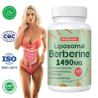 Liposomaal berberine supplement Liposomaal berberine softgels voor immuunondersteuning
