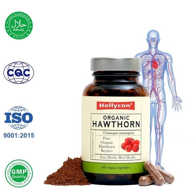 Biologische Hawthorn Berry capsules bevorderen de bloedsomloop