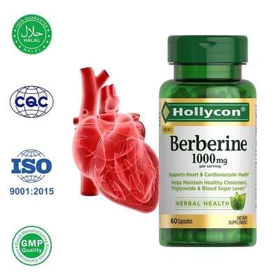 Leverancier Berberine capsules ondersteunen hart en hart- en vaatziekten