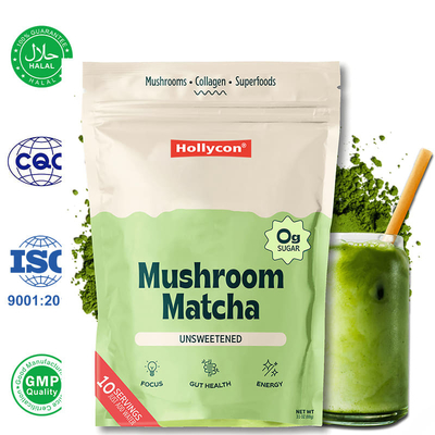 Fabriek Biologische paddenstoel Matcha poeder Ondersteuning Focus Energie Vertering Gezondheid