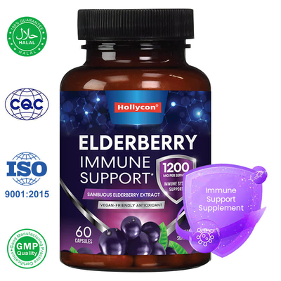 Fabriek Sambucus Black Elderberry Capsules Immuunondersteunend supplement Antioxidant